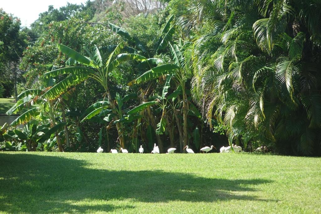 Pool Home With A New Sparkling Pool, Close To Beach, Lovely Lake View North Naples 外观 照片